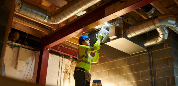 Best Air Duct Sanitizing Services  in Vla Grove, IL