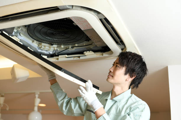 Best HVAC Air Duct Cleaning  in Vla Grove, IL