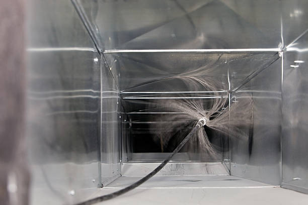 Best General Air Duct Cleaning  in Vla Grove, IL