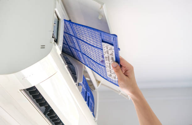 Best Affordable HVAC Duct Cleaning  in Vla Grove, IL