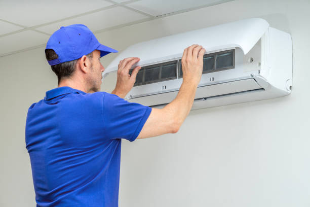 Best Residential Air Duct Cleaning  in Vla Grove, IL