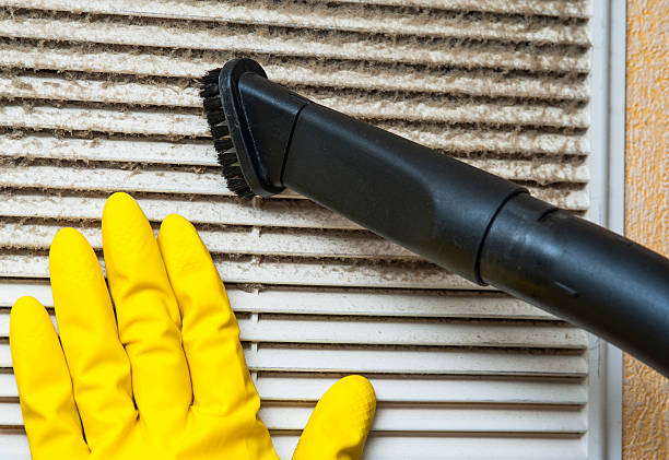Best Best Air Duct Cleaning Company  in Vla Grove, IL