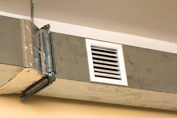 Air Duct Mold Removal in Villa Grove, IL